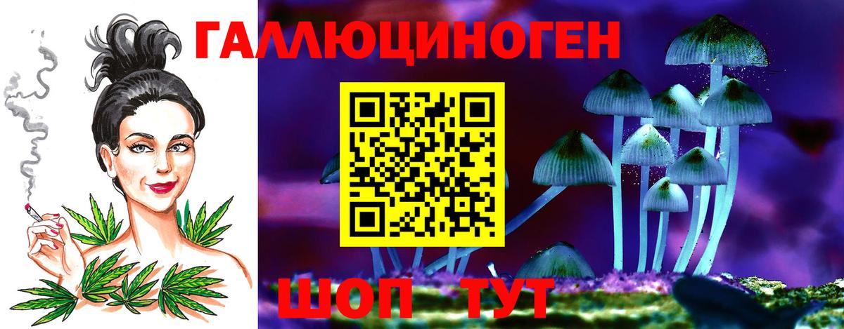 Галлюциногенные грибы Cubensis  Вход с VPN  Грязи 
